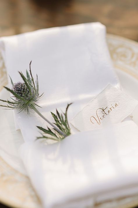 Thistle Centerpiece, Thistle Wedding, Field At Sunset, Beautiful Field, Pew Ends, Blue Thistle, Vision Photography, Golden Autumn, Blue Napkins