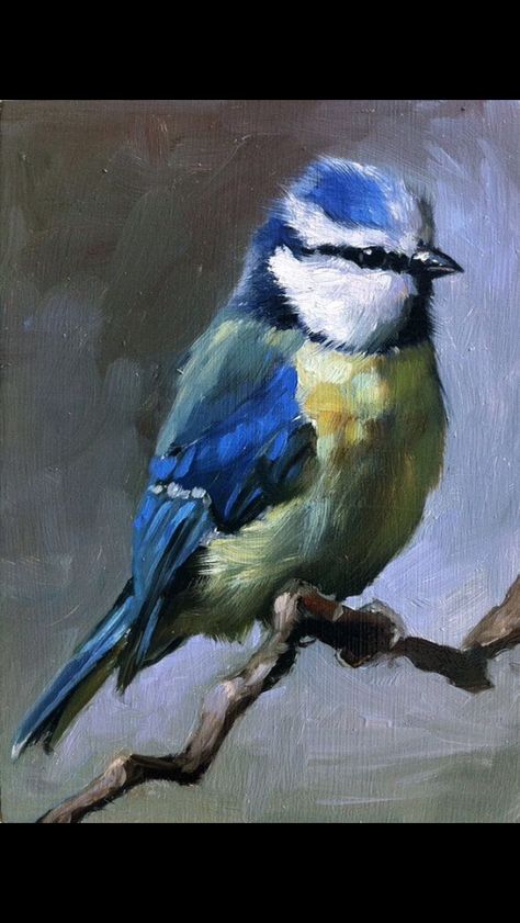 Bird Sitting On A Branch, Art Amour, Bird Sitting, Art Et Illustration, Arte Animal, Wildlife Art, Birds Painting, Art Oil, Pencil Art