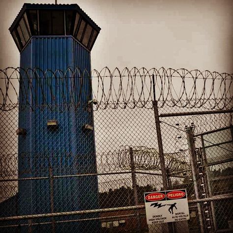 Prison Guard Tower Fence Ideas Modern, Fence Vertical, Fence Illustration, Fence Architecture, Fence Colours, Vertical Fence, Fence Photography, Fence Backyard, Fence Door