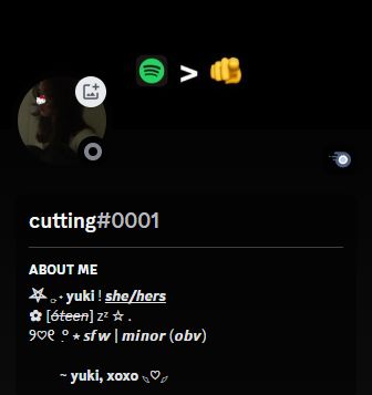 discord bio idea 🫶 Discord Bio, Cute Bios, Y2k Icons, Custom Stuffed Animal, Melody Hello Kitty, Aesthetic Roblox Royale High Outfits, Cute Tiny Tattoos, Name Inspiration, Anime Expressions