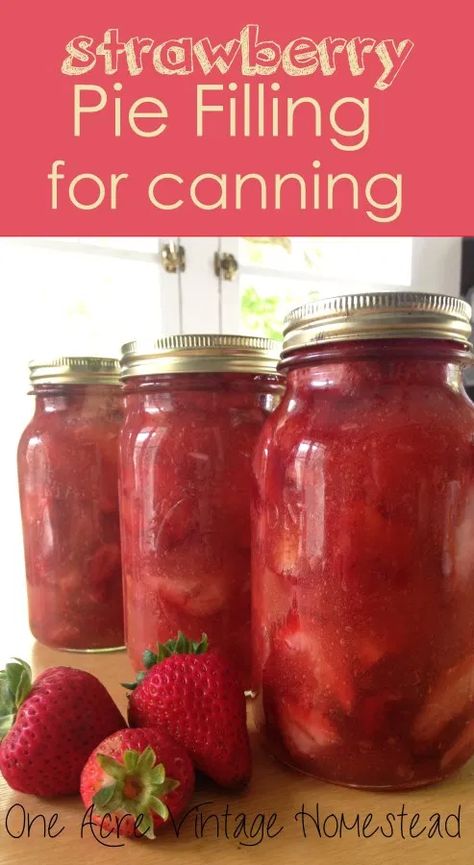 Canned Strawberry Pie Filling, Canning Strawberry Pie Filling, Strawberry Jelly Recipe, Strawberry Canning, Canning Fruit Recipes, Preserving Fruit, Water Bath Canning Recipes, Food Prepping, Canned Strawberries