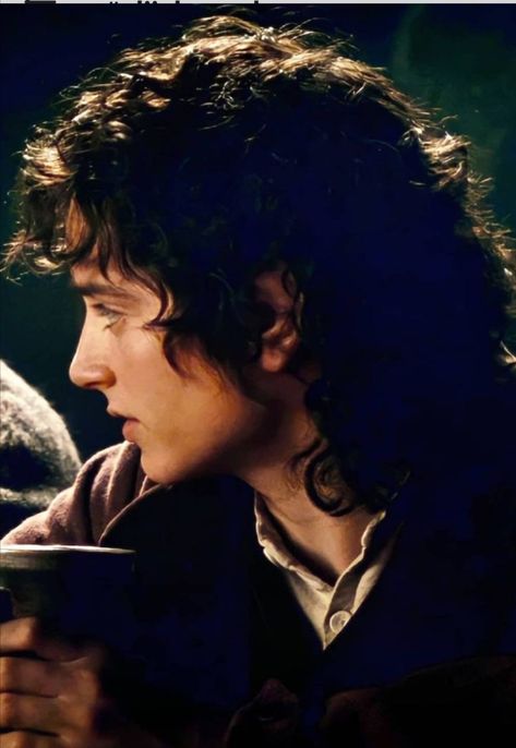 Lotr Cast, Samwise Gamgee, Frodo Baggins, Elijah Wood, Magic Aesthetic, The Shire, Sweet Romance, Gandalf, Middle Earth