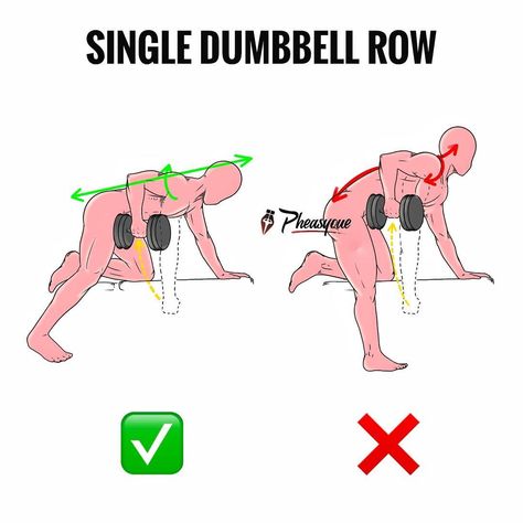 ⭕️SINGLE DUMBBELL ROWS⭕️ - Probably one of my favorite exercises for the lats (together with the barbell variation). - I said lats and not… Gym Tips, Cardio Gym, Strong Motivation, Trening Abs, Gym Workout Tips, Gym Time, Weights Workout, Weight Training, Health Healthy