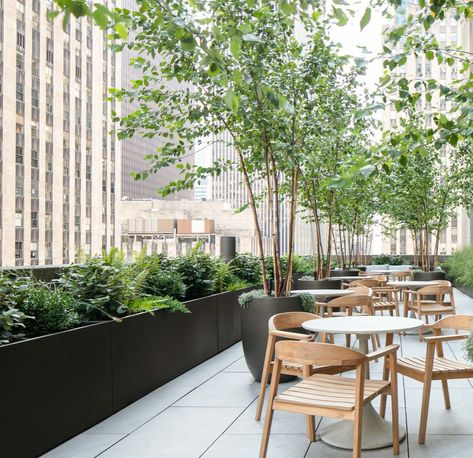 Commercial Terrace Design, Green Wall Garden, Commercial Planters, Large Outdoor Planters, Roof Garden Design, Custom Planters, Fiberglass Planters, Sloped Garden, Rockefeller Center