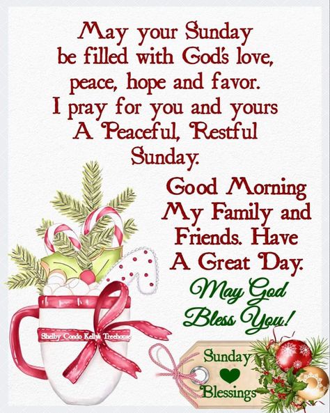 Thankful Sunday Blessings, Thankful Sunday, Spiritual Wallpapers, A Blessed Sunday, Best Christmas Wishes, Sunday Morning Quotes, Have A Blessed Sunday, Sunday Blessings, Sunday Images