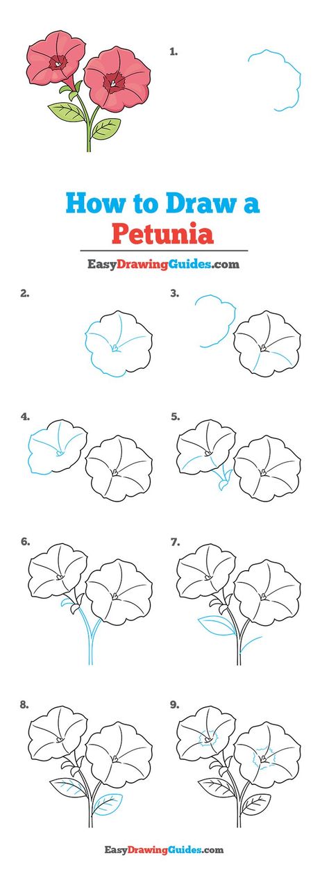 Petunia Drawing Lesson. Free Online Drawing Tutorial for Kids. Get the Free Printable Step by Step Drawing Instructions on https://easydrawingguides.com/how-to-draw-a-petunia/ How To Draw Petunia Flowers, Petunia Drawing Simple, Petunia Flower Drawing, Petunia Drawing, Petunias Drawing, How To Draw Flowers Step By Step, Trin For Trin Tegning, Petunia Flower, Drawing Instructions