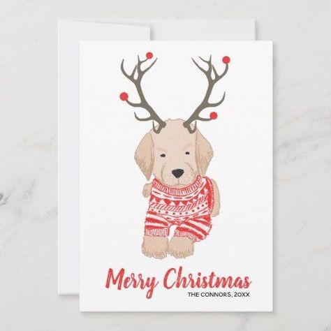 $2.21 | Golden Retriever Puppy Christmas Sweater Antlers #merry christmas, ugly sweater, golden retriever puppy, antlers, personalized, deer antlers, funny christmas card, non photo christmas card, red white stripe Golden Retriever Puppy Christmas, Merry Christmas Drawing, Goldendoodle Christmas, Diy Holiday Cards, Puppy Christmas, Funny Christmas Card, Unique Christmas Cards, Holiday Design Card, Christmas Tree Crafts