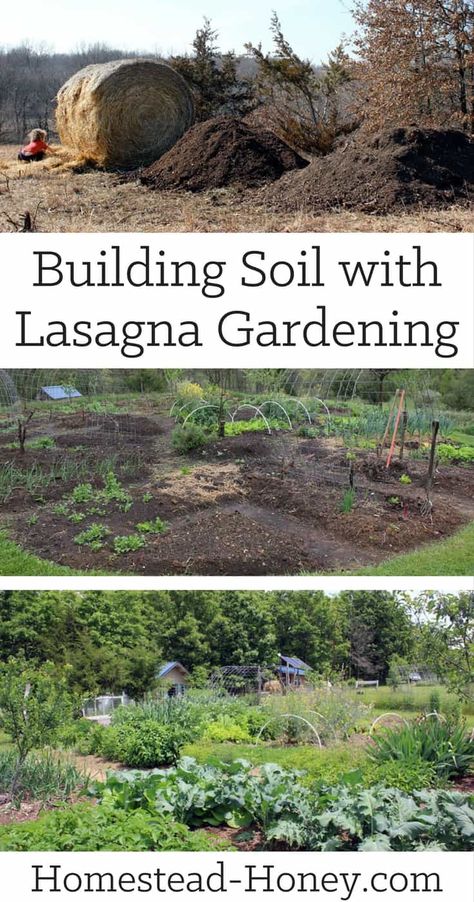 Sheet Mulching, Lasagna Gardening, Organic Vegetable Garden, Starting A Garden, New Garden, Organic Gardening Tips, Soil Improvement, Vegetable Gardening, Garden Soil