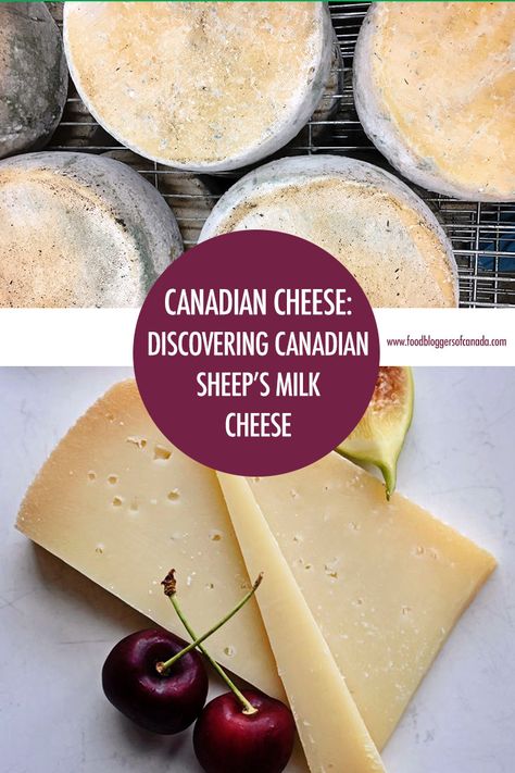 Cheese List, Canadian Recipes, Canadian Cuisine, French Canadian, Canadian Food, Culinary Travel, Cheese Tasting, Milk And Cheese, Summer Entertaining