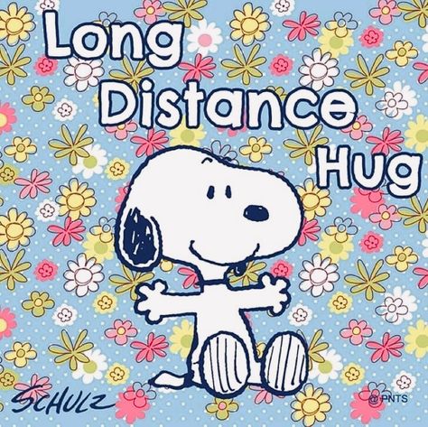 Long Distance Hug, Snoopy Hug, Charlie Brown Quotes, Good Morning Snoopy, Snoopy Dog, Snoopy Cartoon, Hug Quotes, Whatsapp Videos, Snoopy Funny