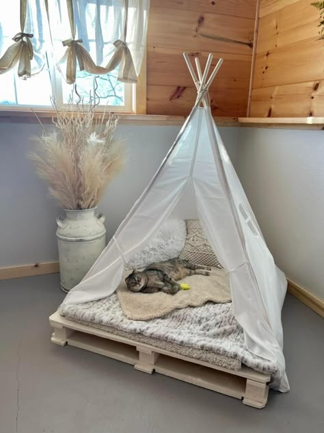 Diy Cat Teepee, Teepee Dog Bed, Cool Cat Beds, Dog Room Design, Diy Hanging Chair, Dog Teepee, Cat Teepee, Diy Teepee, Puppy Room