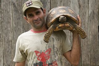 Yellow-footed Tortoise (Geochelone denticulata) | by jmittermeier ... Terrarium Ideas, Tortoise Turtle, My Pet, Turtles, Terrarium, Tortoise, Brazil, Fish, Pet