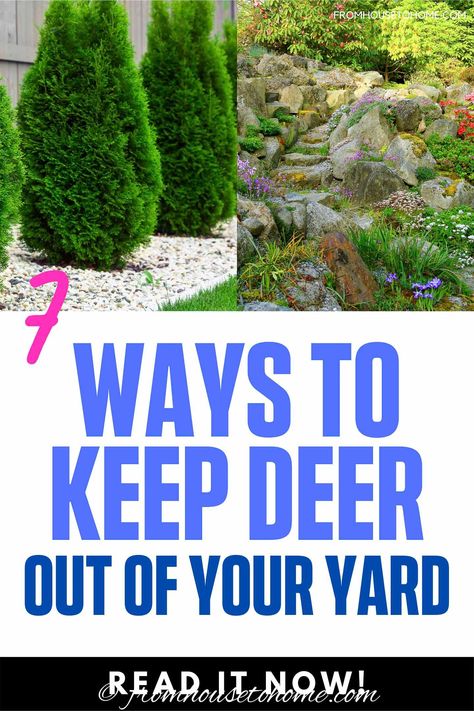 Deer Eating, Horticultural Therapy, Deer Proof Plants, Irish Spring Soap, Thistle Plant, Shade Shrubs, Deer Fence, House To Home, Deer Resistant Plants