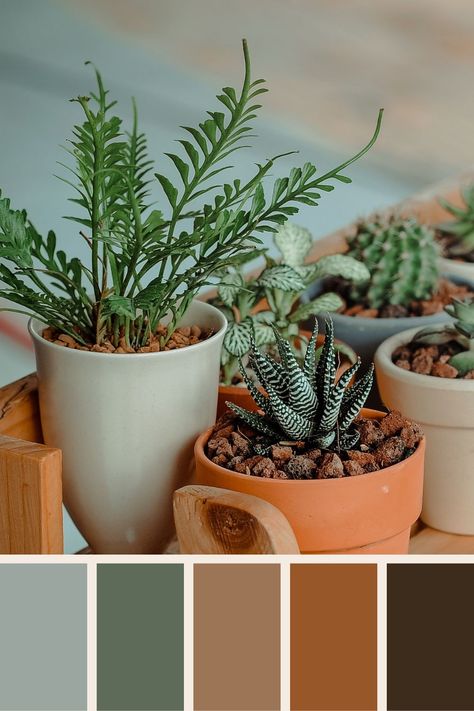 Sage Terracotta Color Palette, Bedroom Colour Schemes Green, Sage And Terracotta, Gender Neutral Bedroom Kids, Terracotta Living Room, Earth Tones Kitchen, Sage Living Room, Sage Color Palette, Earth Tone Bedroom