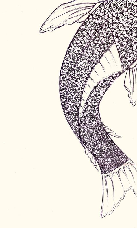 Fish Scale Drawing, Fish Scales Drawing, Clipboard Illustration, Koi Fish Scales, Fish Scale Tattoo, Koi Drawing, Tattoo Mermaid, Scale Tattoo, Drawn Fish