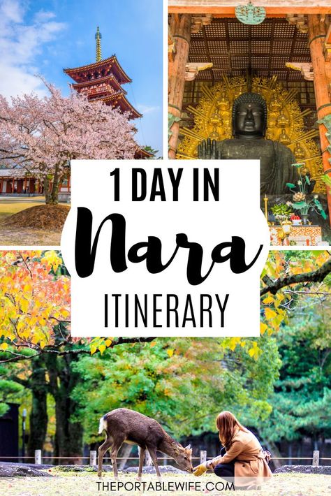 Take a Nara day trip with this detailed Japan travel guide. It has everything you need to plan your one day Nara itinerary, including Japan travel tips to help you visit Nara from from Kyoto, Osaka, or Tokyo. Discover the best things to do in Nara, including the Todaiji Temple, Mount Wakayama, Isuien Japanese Garden, and Nara deer park. Includes a map of Nara Japan photography spots.  | Nara Japan autumn | Nara must do | Places to visit in Japan | #japan #japantravel #asiatravel Nara Itinerary, Nara Deer Park, Todaiji Temple, Nara Deer, Travel Autumn, Japan Autumn, Japan Travel Destinations, Tokyo Travel Guide, China Travel Guide