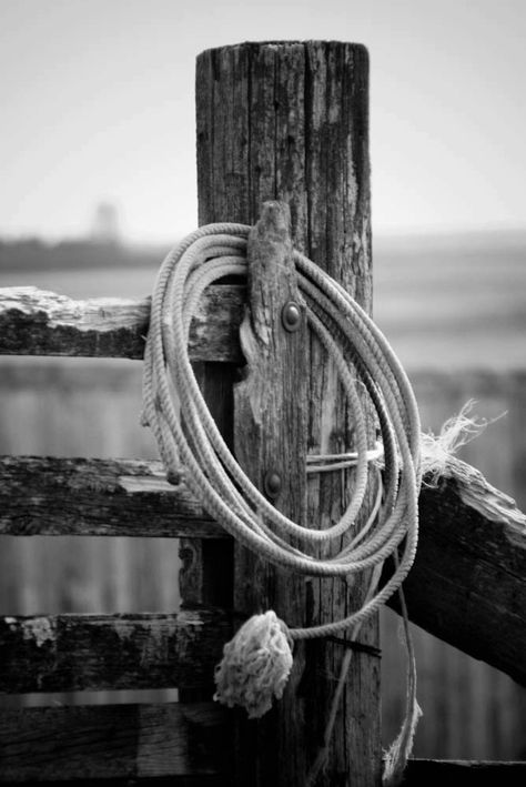 Western Aesthetic Wallpaper, Cowboy Photography, Country Backgrounds, Country Photography, Western Photo, Western Photography, Cowboy Aesthetic, Western Wall Art, Western Life