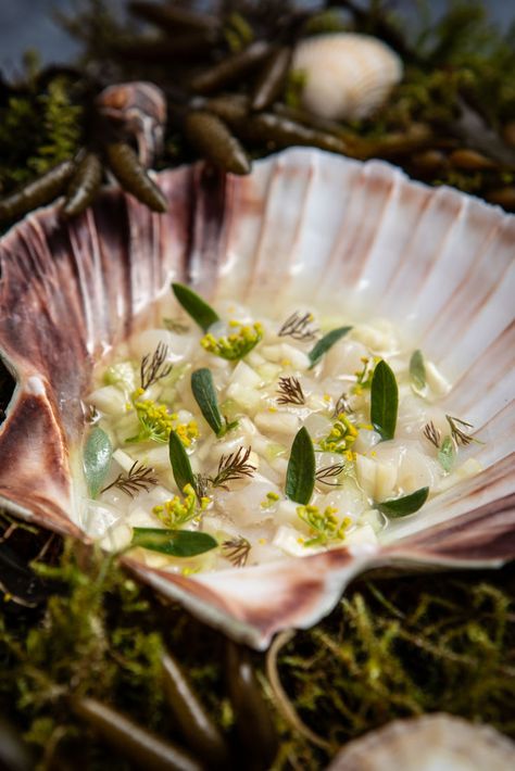 Serving scallops in their raw form is one of the best ways to showcase their incredible natural sweetness. Here, Amy Elles dices scallop and combines it with cucumber and cured fennel to make a tartare, which is presented in the shells alongside a tomato consommé for an elegant but fantastically fresh starter. Scallop Tartare, Raw Fish Recipes, Fine Dining Starters, Seafood Scallops, Sashimi Recipe, Tartare Recipe, Scallop Dishes, Great British Chefs, Savory Herb