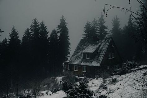 Dark Winter Aesthetic, Dark Paradise, Ushuaia, Six Feet Under, Dark Photography, Winter Aesthetic, Story Inspiration, On The Ground, Dark Forest