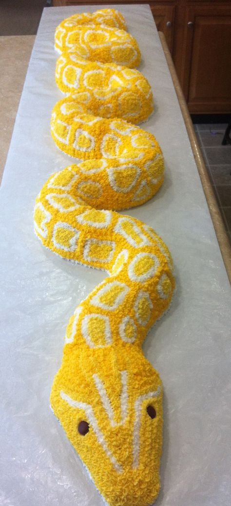 Yellow Python - Snake Cake - 5ft long Snake Birthday Party Decorations, Rainforest Crafts, Karate Birthday Party, Decorative Desserts, Swamp Party, Snake Cake, Yellow Python, Snake Cakes, Snake Birthday