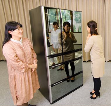 I want this crystal mirror double door fridge from hitachi   http://kadenfan.hitachi.co.jp/catalog/rei/rei.pdf Hitachi Fridge, Mirror Fridge, Double Door Fridge, Crystal Mirror, Door Fridge, Dream Kitchens, Reno Ideas, Kitchen Room Design, Double Door