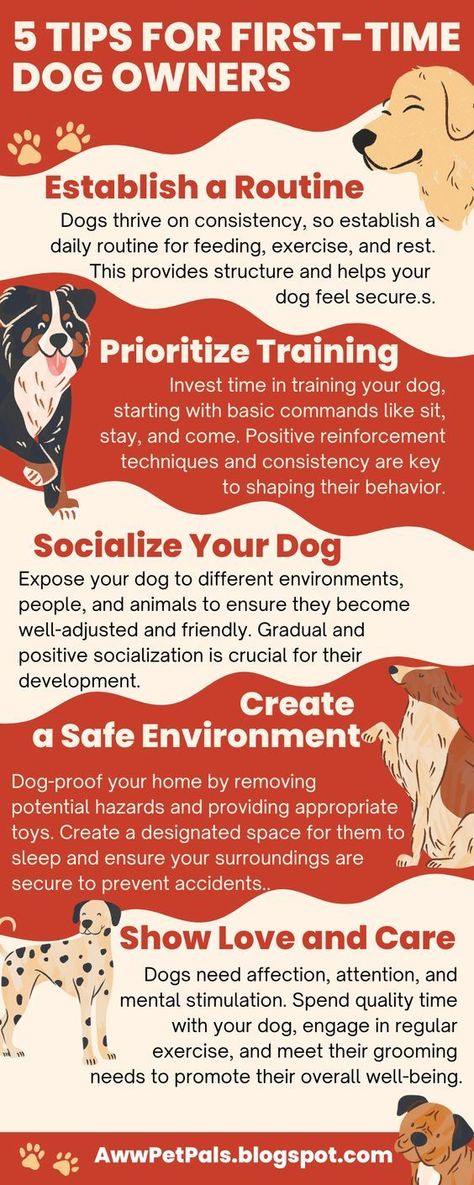 5 tips for first-time dog owners Dog Care Checklist, Puppy Training Schedule, Puppy Mom, Rescue Puppies, Reactive Dog, Basic Dog Training, Showing Love, Dog Training Advice, Dog Brain