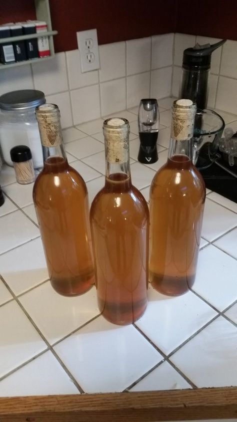 Apple Cider Mead Recipe, Cyser Mead Recipe, Apple Mead Recipe, Cyser Recipe, Mead Wine Recipes, Mead Brewing, Fermented Soda, Mead Recipes, Mead Making