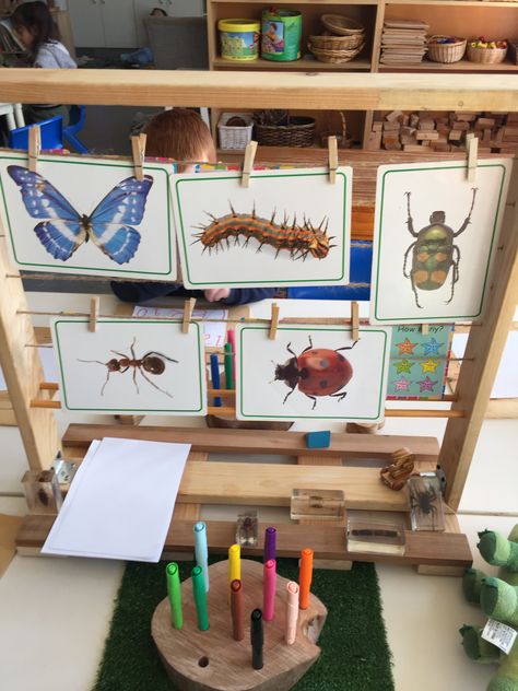 Insect Provocations, Bug Provocations Preschool, Insects Reggio Emilia, Reggio Bug Activities, Reggio Emilia Butterfly Activities, Bug Inquiry Kindergarten, Reggio Emilia Classroom, Reception Classroom, Bug Activities