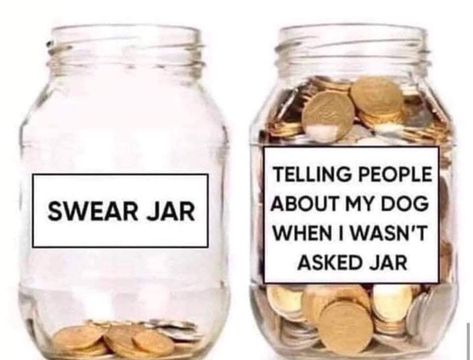 Swear jar... Swear Jar, Queen Of Shadows, Happy Memes, Memes Of The Day, Someecards, Cat Memes, Funny Memes, Humor, Memes