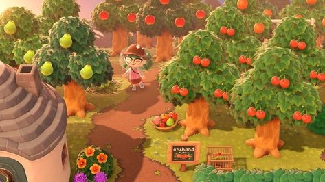 Fruit Orchard Animal Crossing, Acnh Fruit Orchard Ideas, Acnh Apple Orchard, Animal Crossing Orchard Ideas, Orchard Animal Crossing, Acnh Orchard Layout Ideas, Animal Crossing Orchard, Acnh Orchard Ideas, Anch Inspiration