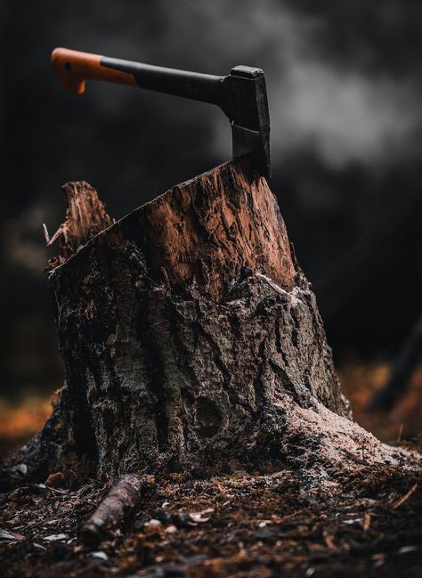 Lumberjack Men Aesthetic, Lumberjack Man Aesthetic, Logger Man Aesthetic, Wood Work Aesthetic, Female Lumberjack Aesthetic, Chopping Wood Aesthetic, Rustic Aesthetic Photography, Hatchet Aesthetic, Logging Aesthetic