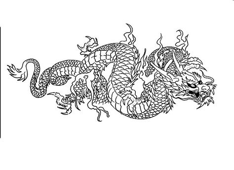 Horizontal Dragon Tattoo, Gladiator Tattoo, Fake Tattos, Japanese Dragon Tattoos, Chinese Tattoo, Dragon Tattoos, Bff Tattoos, Japanese Dragon, Mouth Guard