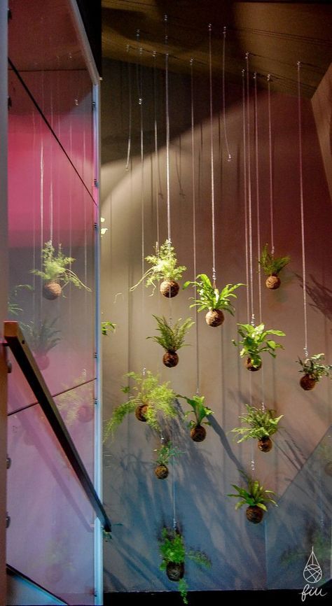 Art Floral Japonais, Hanging Orchid, String Garden, Moss Ball, Mini Bonsai, Diy Plant Hanger, Moss Balls, Flower Arrangements Simple, Living Art