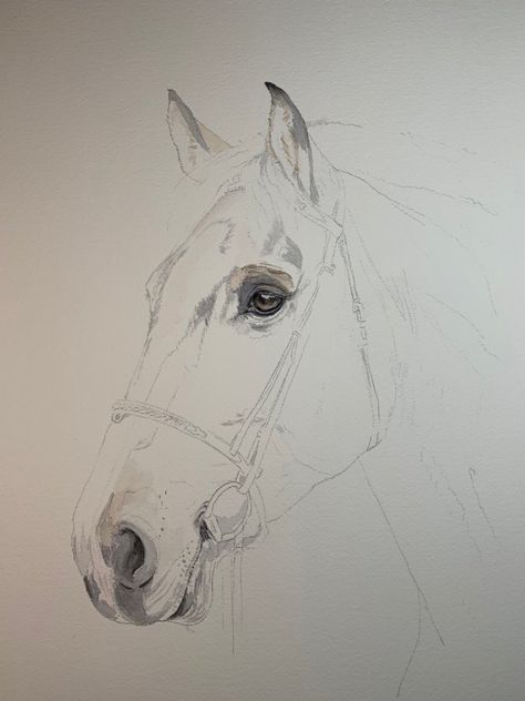 Horse Watercolor: From Start to Finish Watercolour Horse Head, Drawing Horses Sketches Pencil, Watercolor Horse Painting Tutorial, Watercolor Horse Painting Easy, Watercolour Horses, Painting A Horse, Equine Art Pencil Drawings, Watercolour Projects, Equine Art Paintings