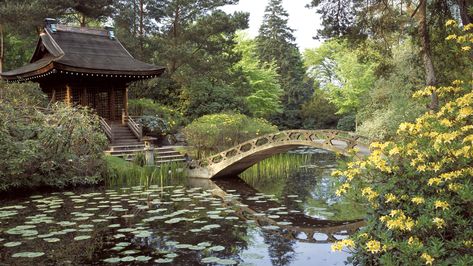 The Japanese Garden at Tatton Park is regarded as the 'finest example of a Japanese Gardens in Europe'. © National Trust Images / Stephen Robson Japanese Garden Tools, Japanese Architecture, Tea House, Garden View, Japanese Garden, Garden Center, Garden Bridge, Tibet, Organic Gardening