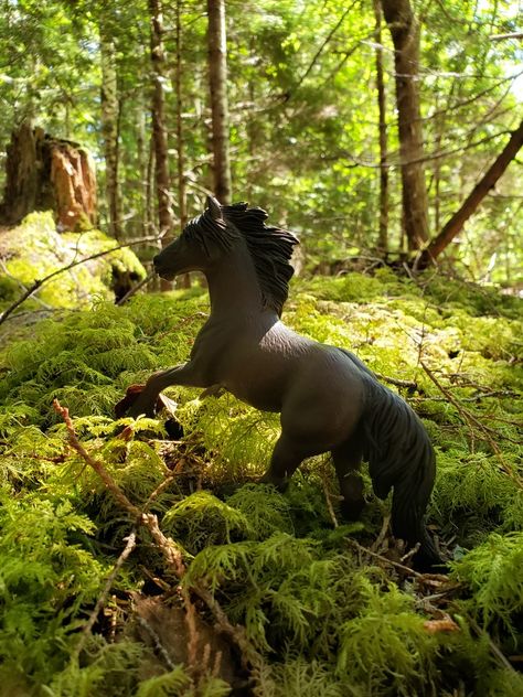 Schleich Pictures, Schleich Horses Stable, Horse Figures, Animal Figurine Toys, Schleich Horses, Bryer Horses, Wolf Photography, Equestrian Art, Star Stable