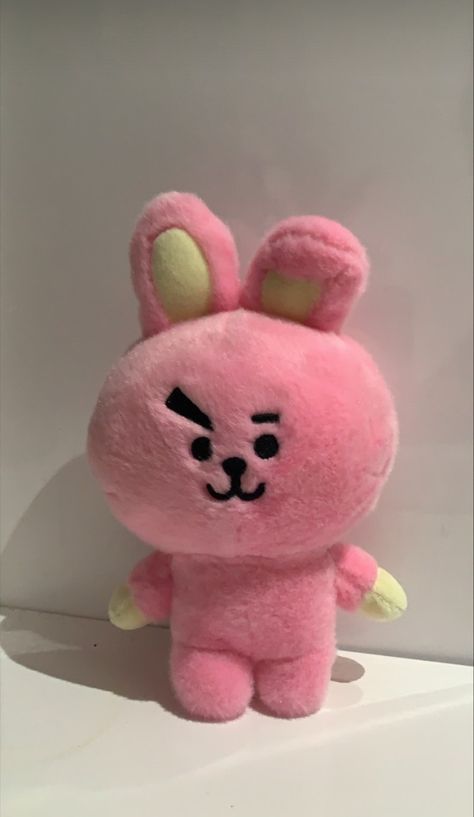 Bt21 Photo, Bt21 Plushies, Bts Tickets, Typa Girl, Bts Merch, Bunny Toys, Cute Memes, Jung Kook, Stuffed Toy