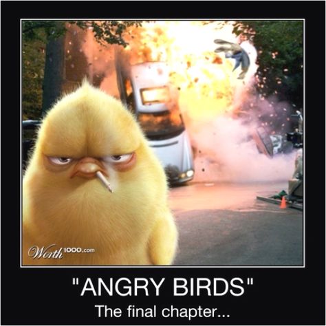 Angry Birds Funny, Birds Funny, Humour Geek, Funny Animal Images, Angry Animals, Angry Bird, Animals Funny, Geek Humor, Nerd Geek