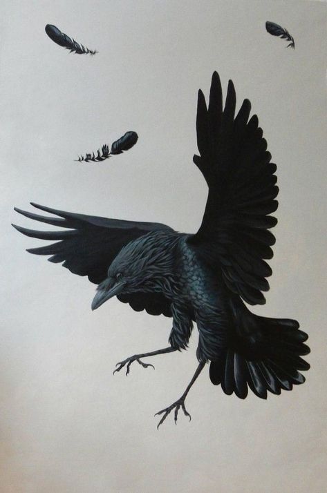 Raven Art Drawing, Jest Heartless, Raven Drawing, Black Crow Tattoos, Raven Illustration, Crow Illustration, Raven Pictures, Crow Pictures, Rabe Tattoo