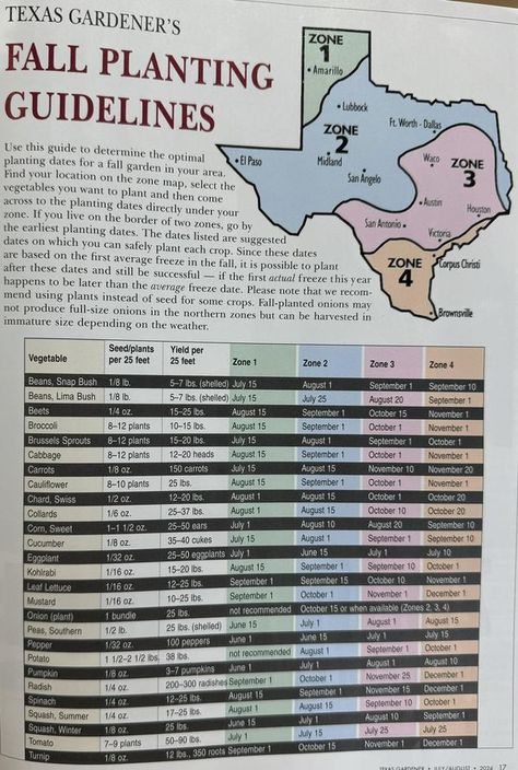 Gardening In Houston Texas, South Texas Gardening, Texas Fall Garden, Farming 101, Homestead Garden Layout, Zone 8b, Texas Garden, Edible Gardening, Homestead Gardens