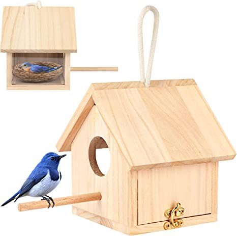 Ideas Terraza, Bluebird House, Wood Birdhouses, Wooden Bird Houses, Bird House Kits, Diy Bird Feeder, Diy Birds, Bird Boxes, Wood Bird