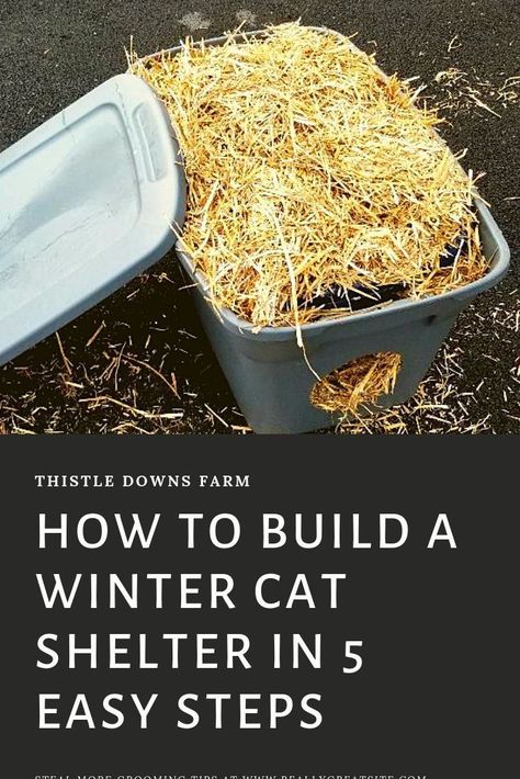 Outdoor Cat Shelter Diy, Winter Cat Shelter, Outside Cat Shelter, Shelter Architecture, Cat Shelters For Winter, Insulated Cat House, Outside Cat House, Outdoor Cat Shelter, Feral Cat Shelter