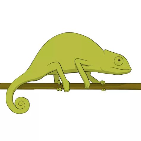 In this drawing tutorial we will show you how to draw a chameleon easy. It is a cartoon style of drawing and it will be really light. Chameleon Drawing, Guided Drawing, Easy Drawing, Dark Shades, Smooth Lines, Cartoon Style, A Cartoon, Drawing Art, Base Colour