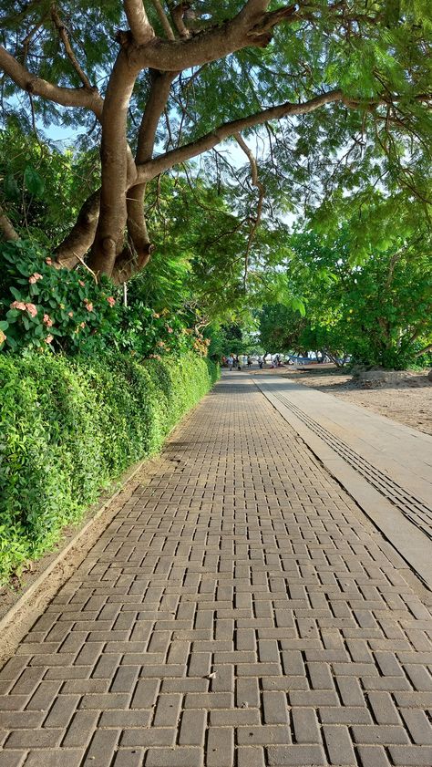 This is the tracking area along the sanur beach Parque Aesthetic, Jalanan Aesthetic, Canada Pictures, City Decor, Building Aesthetic, Nature Photography Flowers, Visit Singapore, Driveway Landscaping, Best Photo Background