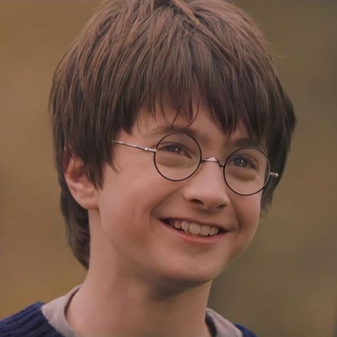 The Philosophers Stone, Harry Potter 2001, Daniel Radcliffe Harry Potter, Harry Potter Icons, Philosophers Stone, Harry Potter Gif, Harry James, Harry James Potter, Harry Potter 2