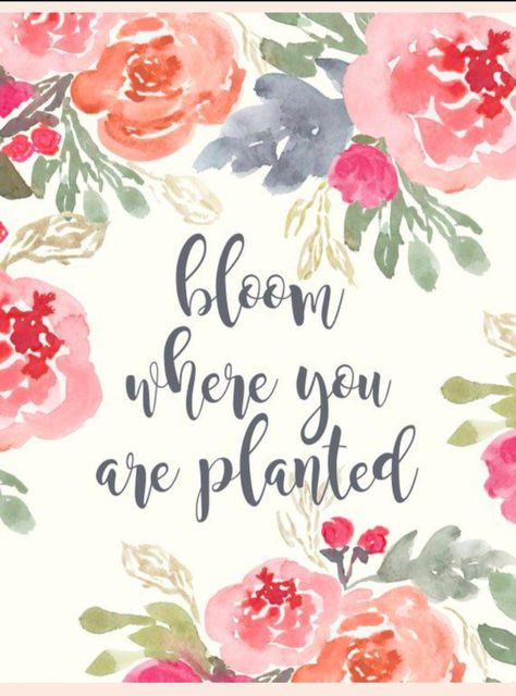 June Bujo, Garden Theme Classroom, Print Quotes, Floral Quotes, Bloom Where Youre Planted, Plants Quotes, No Rain No Flowers, Bloom Where You Are Planted, Garden Quotes