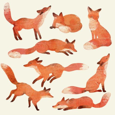 Academic Drawing, Fox Drawing, 강아지 그림, Fox Illustration, Fox Art, Animal Sketches, Children Illustration, Animal Illustration, Drawing Inspiration