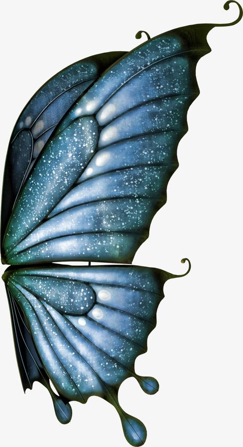 Butterfly Wings Art, Printable Butterfly, Wings Png, Angel Wings Art, Butterfly Art Painting, Wings Drawing, Wings Art, Butterfly Clip Art, Butterfly Drawing