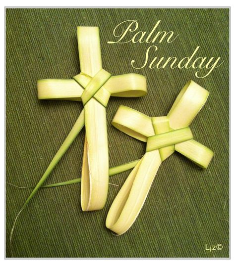 Palm Sunday Cross, Palm Sunday Decorations, Palm Cross, Palm Sunday Crafts, Good Morning Christmas, Palm Leaf Art, Palm Frond Art, Catholic Wallpaper, Church Family