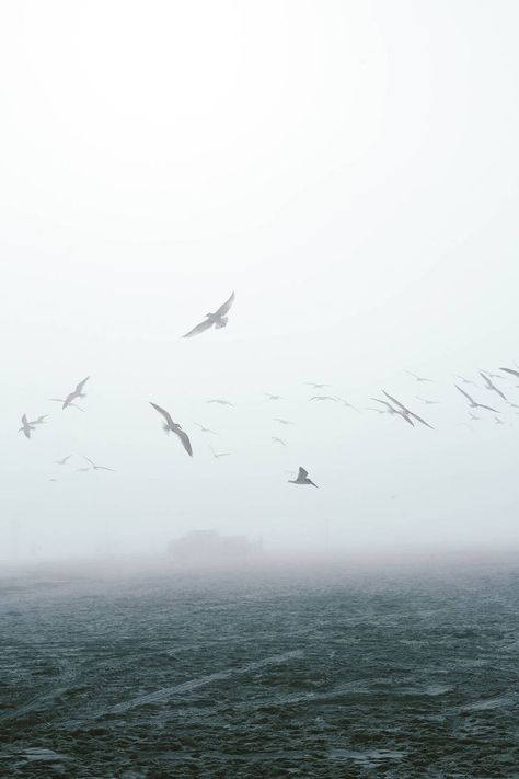 Mystical bridal photos in the Florida sea fog via Magnolia Rouge Misty Beach, Lost Island, Magic And Mystery, Sea Port, Sea Photography, Green Ocean, Stormy Sea, Sea Art, Blue Flames